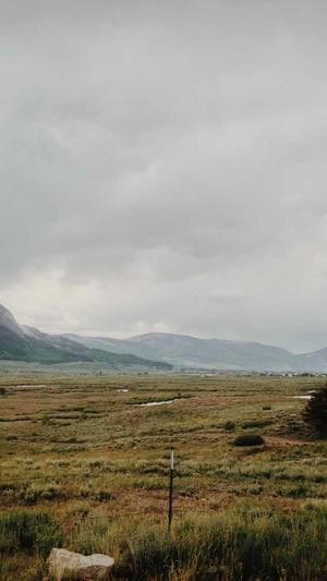 黑料不打烊 吃瓜网截图2