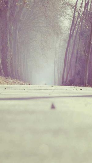 黑料不打烊直接入口截图4