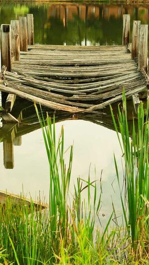 51吃瓜 全网更新最快最全的吃瓜网截图3