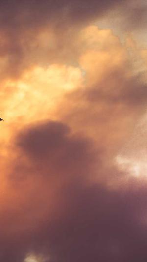 twice每个人的黑料截图2