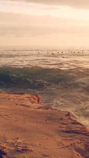 zztt黑料不打烊网站截图2