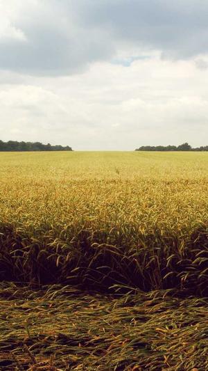 caro赖赖黑料截图1