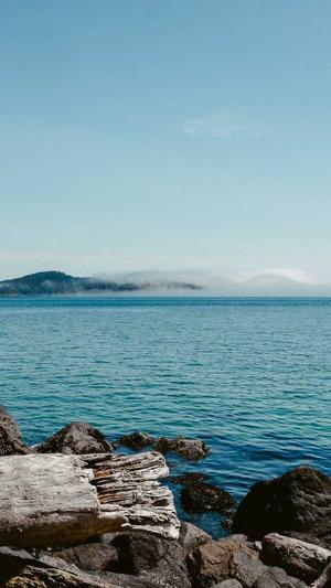 孕期吃哈密瓜好吗截图4