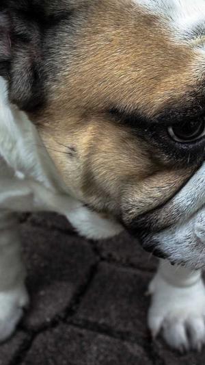 黑料 不打烊截图3