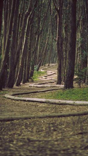 so导航(黑料)截图3