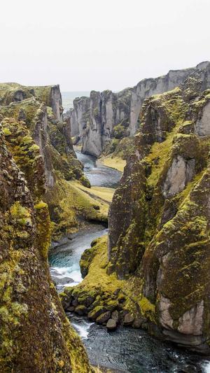 黑料正能量app邀请码截图2