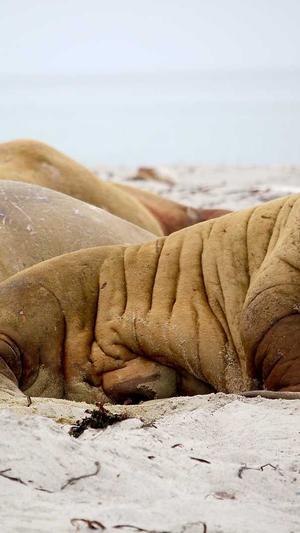 黑料不打烊 入口截图4