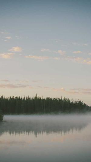 黑料不打烊网红明星截图3