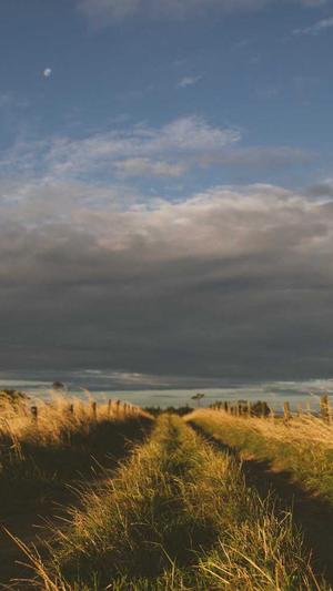 51吃瓜最新网站截图3