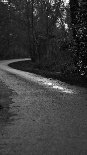 杨超越黑料截图2