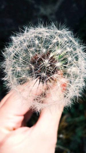 51吃瓜网址截图3