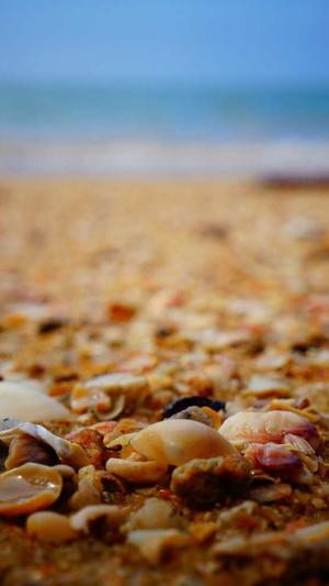 网曝吃瓜黑料四区截图5