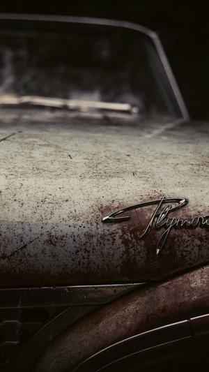 吃哈密瓜会上火吗截图5