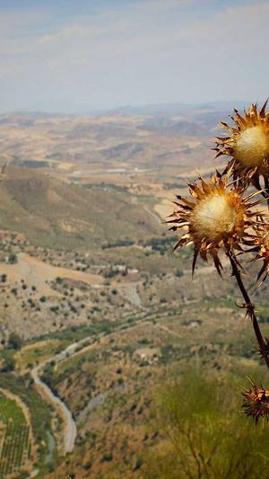 zztt黑料不打烊网站截图1