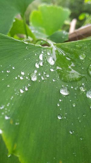 都靓amber黑料截图4