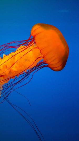 51吃瓜今日吃瓜入口网址截图1