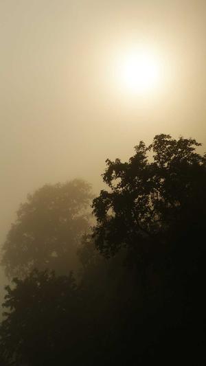 痞幼口猴哥30秒黑料不打烊视频截图2