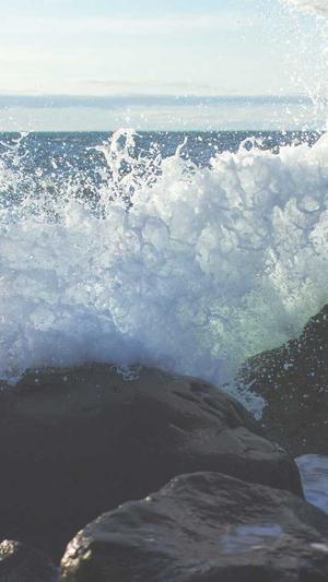 吃瓜网 - 免费吃瓜截图5