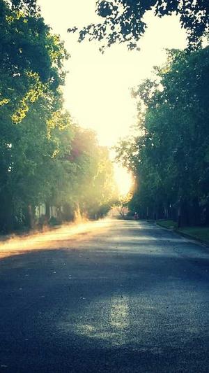 婴儿可以吃哈密瓜吗截图3