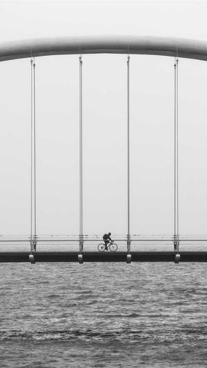 哈密瓜和酸奶可以一起吃吗截图2