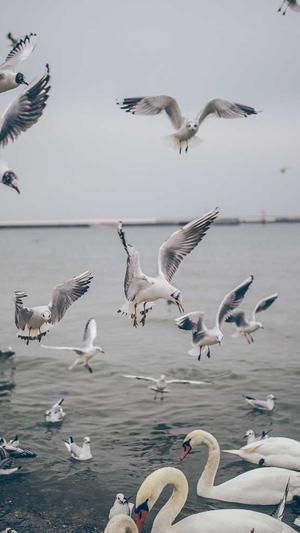 51吃瓜最新吃瓜入口截图2