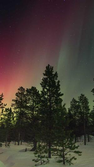 91吃瓜网在线观看截图5