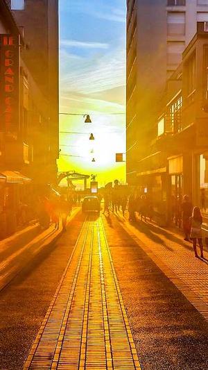 佛手瓜产妇可以吃吗截图2