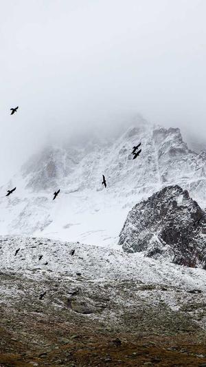 怀孕吃哈密瓜有什么好处截图3