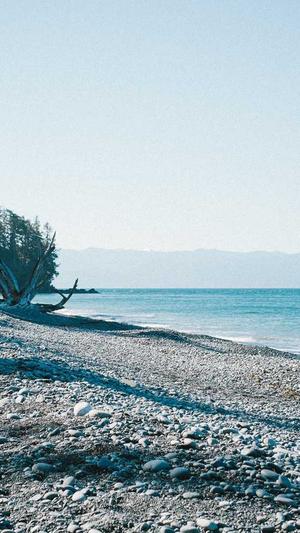 ariaandbrandon黑料截图3