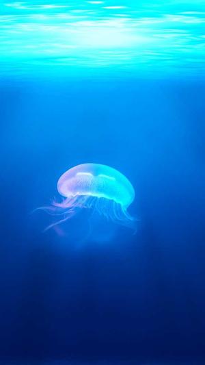 吃瓜鹅每日搬微博截图3