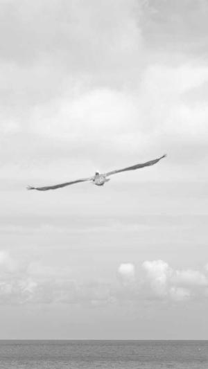 51吃瓜今日入口截图1