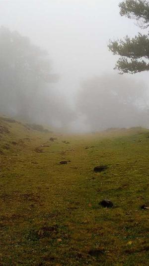 今日吃瓜51大瓜截图3