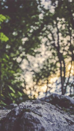 zzzttt黑料不打烊截图3