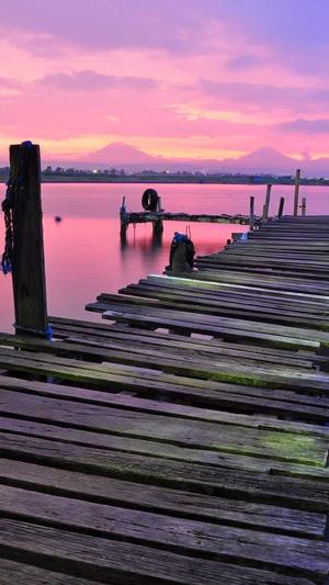 黑料不打烊导航截图4