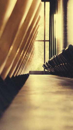 网红黑料网截图3